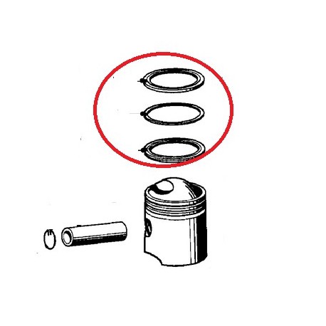 segment de 73mm ks